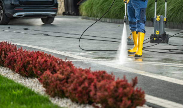 Roof Power Washing Services in Richboro, PA