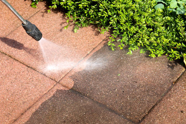 Best Pressure Washing Company Near Me  in Richboro, PA